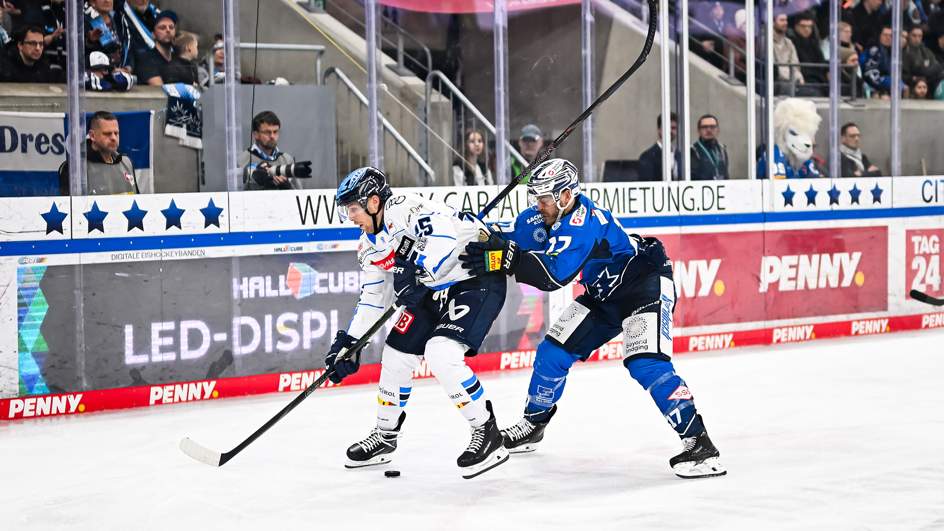 Dresdner Eislöwen gg. ERC Ingolstadt